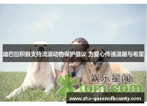 迪巴拉积极支持流浪动物保护倡议 为爱心传递温暖与希望