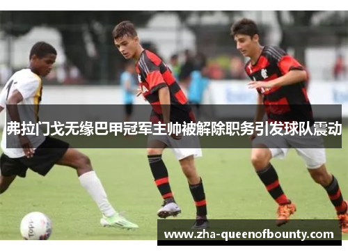 弗拉门戈无缘巴甲冠军主帅被解除职务引发球队震动